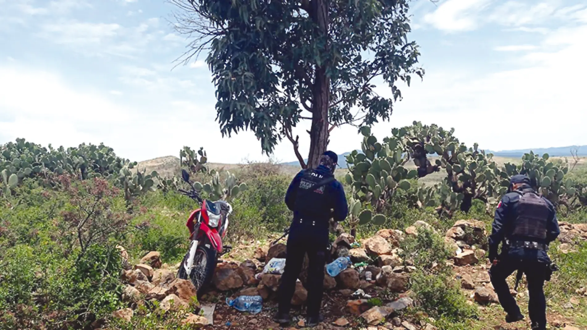 Elementos de la Policía Estatal durante la revisión del lugar como narcocampamento